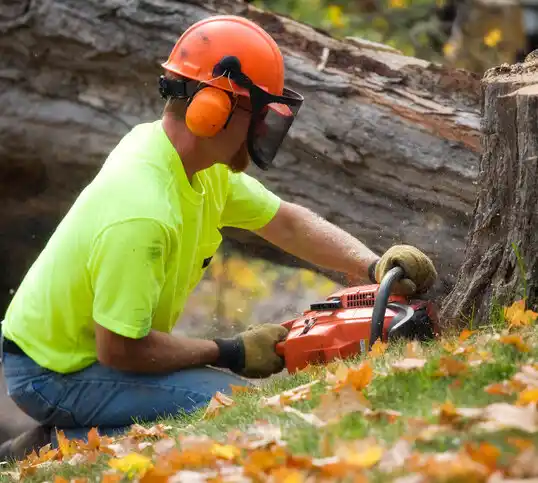 tree services Bastrop